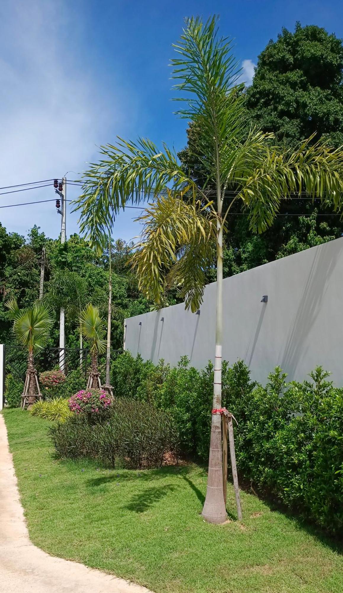 Jasmine Pool Villa, Bangrak, Bo Phut Fisherman'S Village Exterior foto